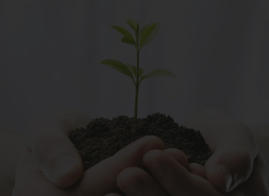 龙8头号玩家(国际)官方网站