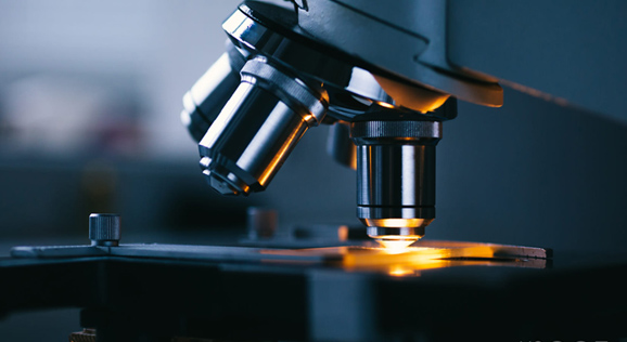 龙8头号玩家(国际)官方网站